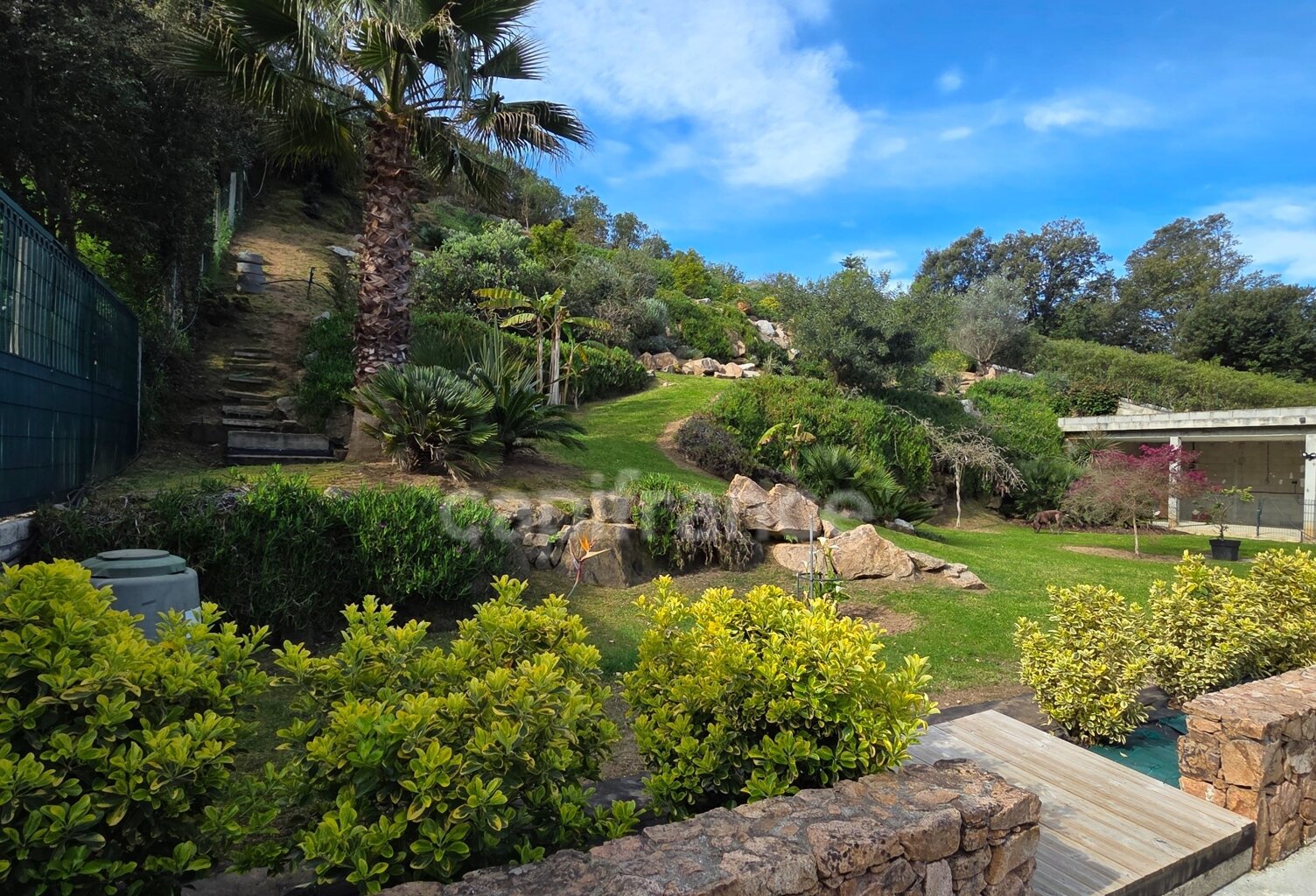 BASTELICACCIA (Corse du sud) proche AJACCIO: Ensemble immobilier de 4 lots avec piscine et jardin paysager — photo 1