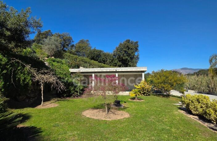 BASTELICACCIA (Corse du sud) proche AJACCIO: Ensemble immobilier de 4 lots avec piscine et jardin paysager — photo 3