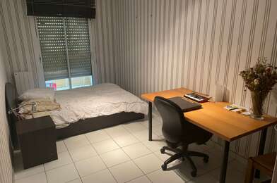 Appartement 1 pièces 450 €