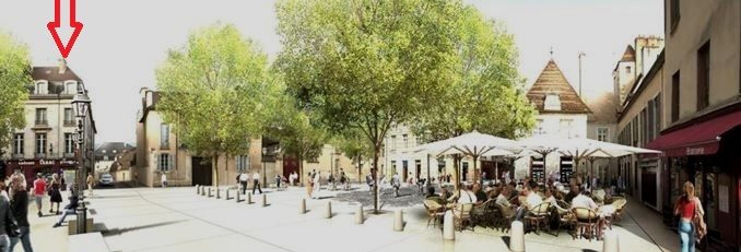 Appartement 1 Pièce 18 m² à louer à Dijon (21000)