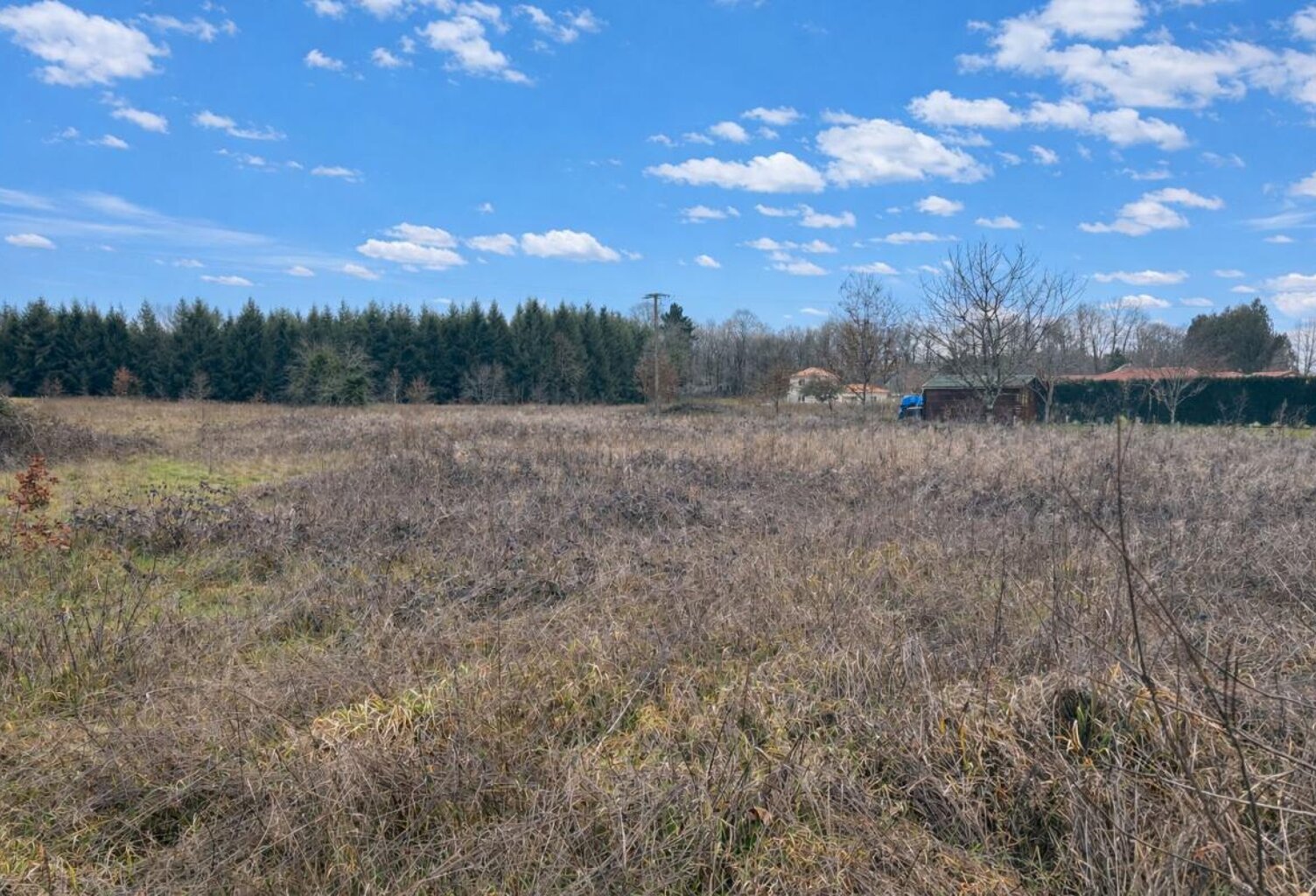 🏡 Terrain constructible 3 023 m² – CU OK – Plat – Haute-Vienne (87) — photo 1