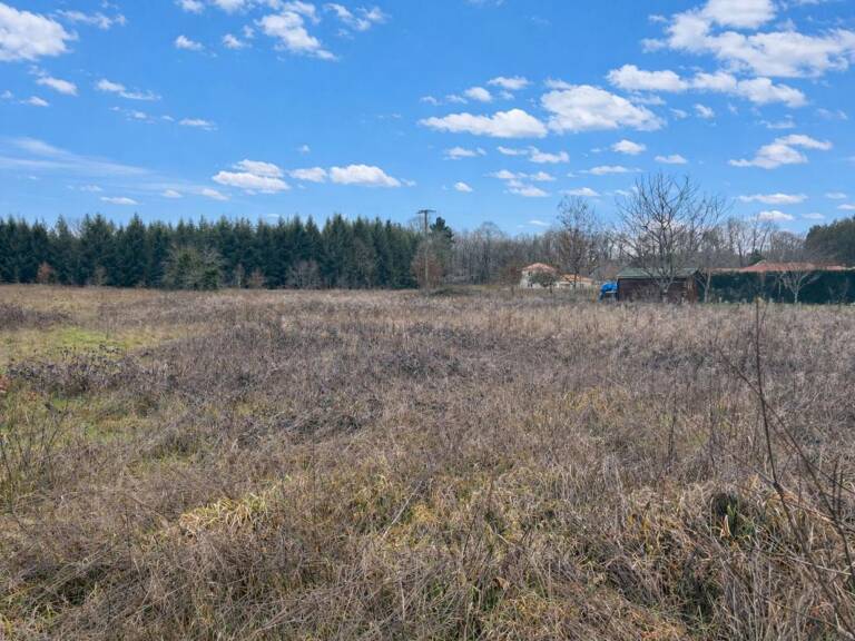   Terrain constructible 3 023 m² – CU OK – Plat – Haute-Vienne (87) — photo 1