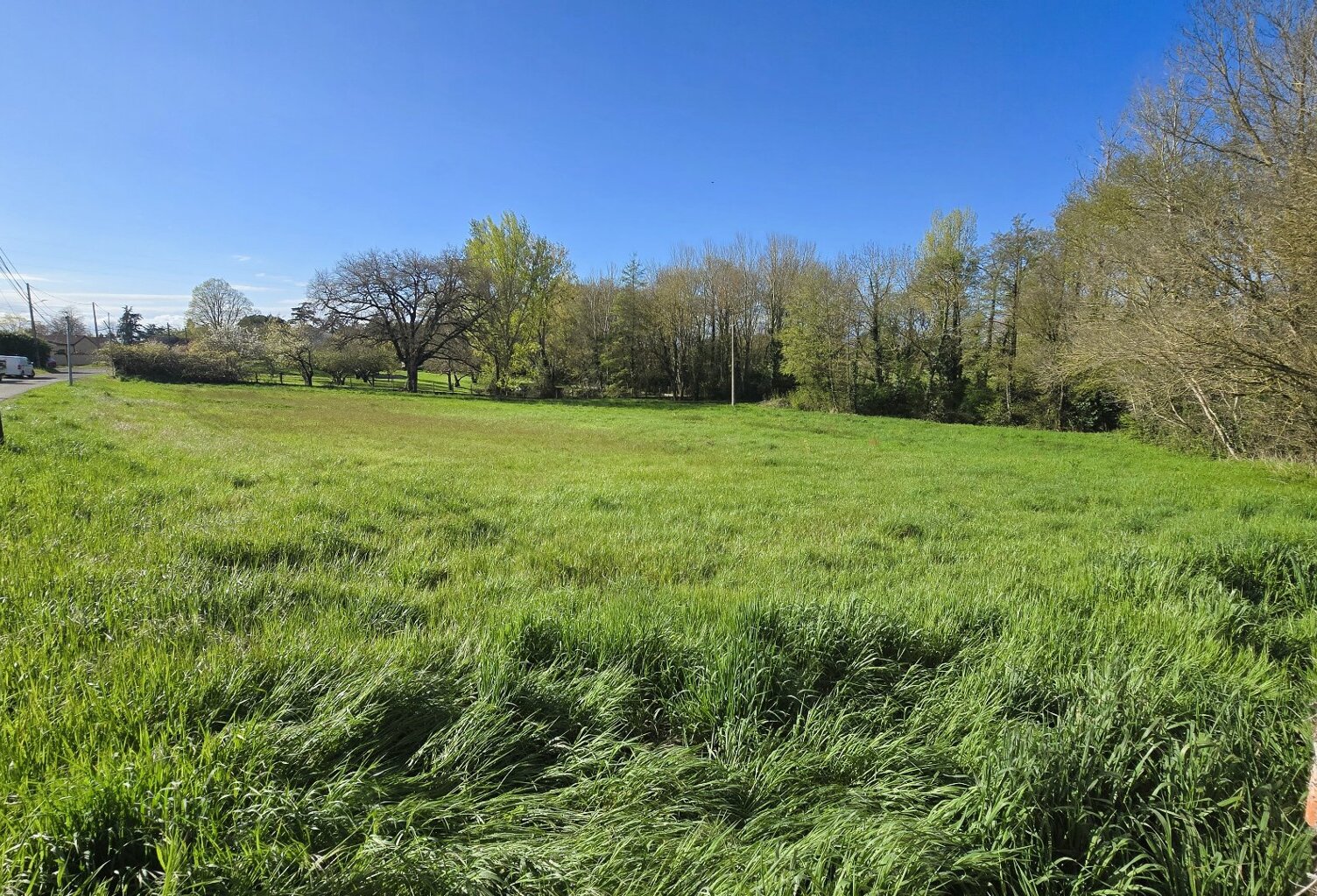 TERRAIN DE 3972m² DIVISIBLE — photo 1