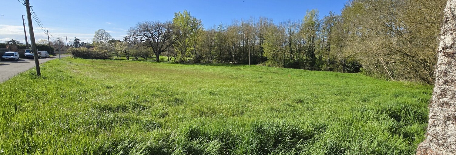Terrain  3972 m² à vendre à Cintegabelle (31550)