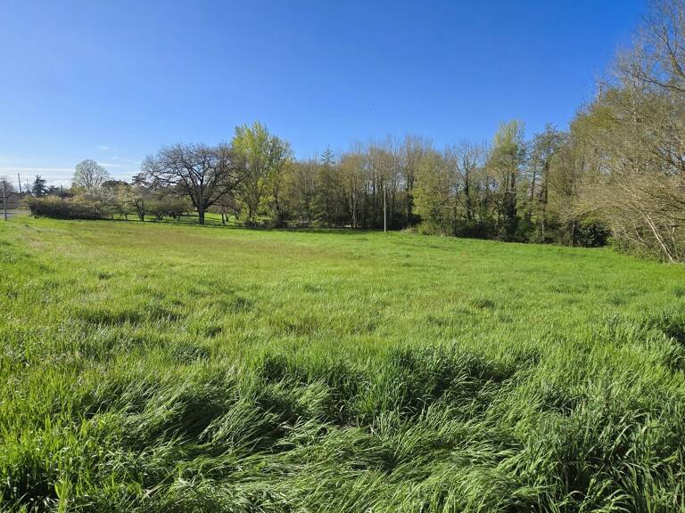 TERRAIN DE 3972m² DIVISIBLE — photo 1
