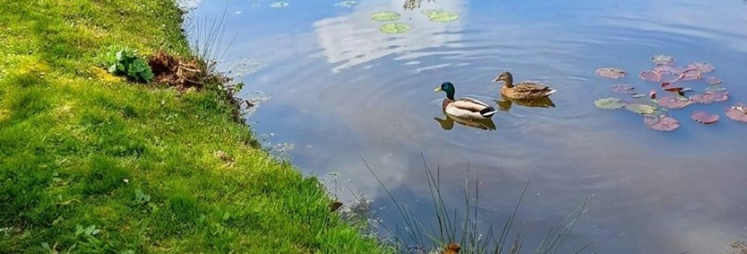 Maison 5 Pièces 115 m² à vendre à Sainte-Flaive-des-Loups (85150)