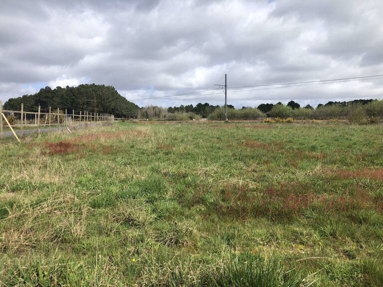 TERRAIN AGRICOLE 1,1 HECTARE AVEC BATIMENT /commune de Queyrac — photo 1