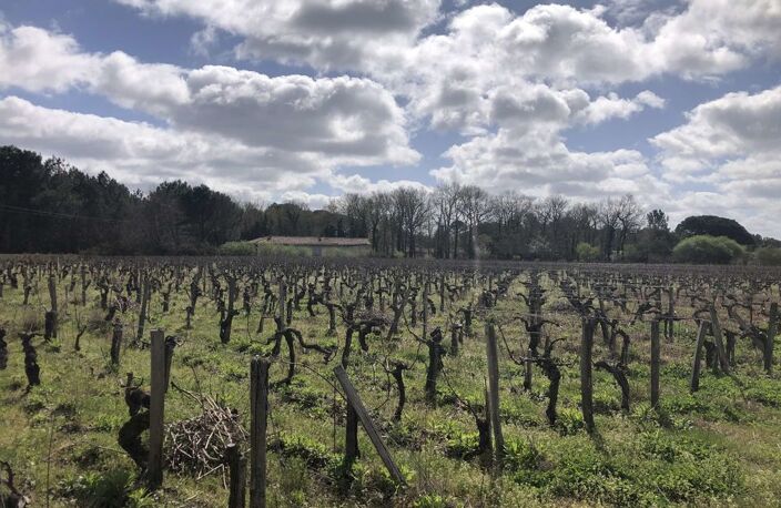 TERRAIN AGRICOLE 1,1 HECTARE AVEC BATIMENT /commune de Queyrac — photo 3