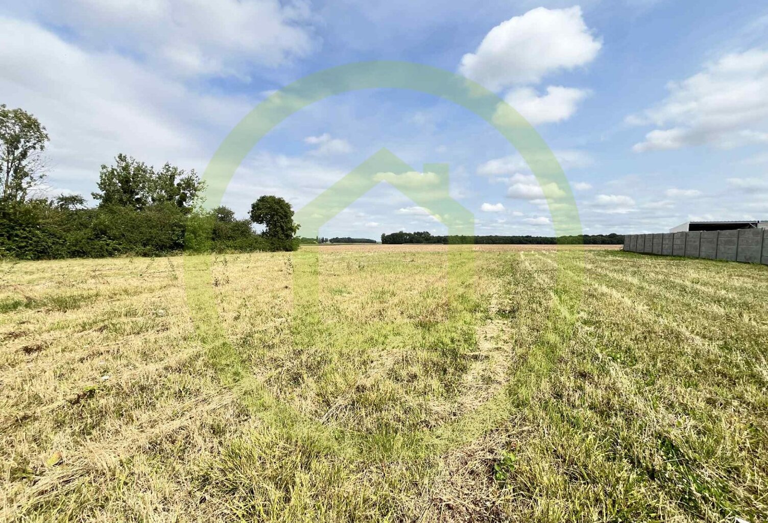 Terrain — photo 1