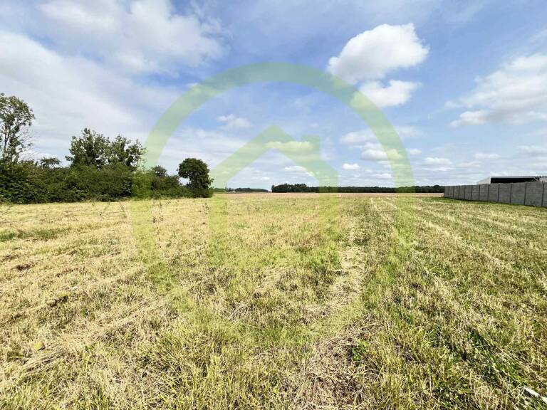 Terrain — photo 1