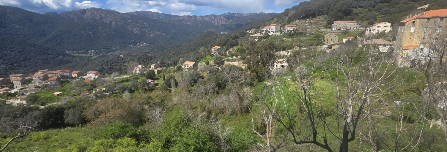 Appartement 4 Pièces 102 m² à vendre à Sainte-Lucie-de-Tallano (20112)