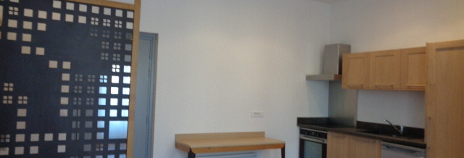 Appartement 1 Pièce 25 m² à louer à Saint-Palais (64120)