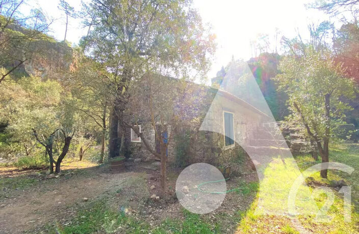 BASTIDE EN PIERRE SUR 1 HECTARE AVEC RIVIÈRE, UN LIEU UNIQUE PROCHE CALLAS — photo 3