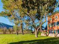 Bastide de maître à rénover, vue panoramique Luberon. — photo 3