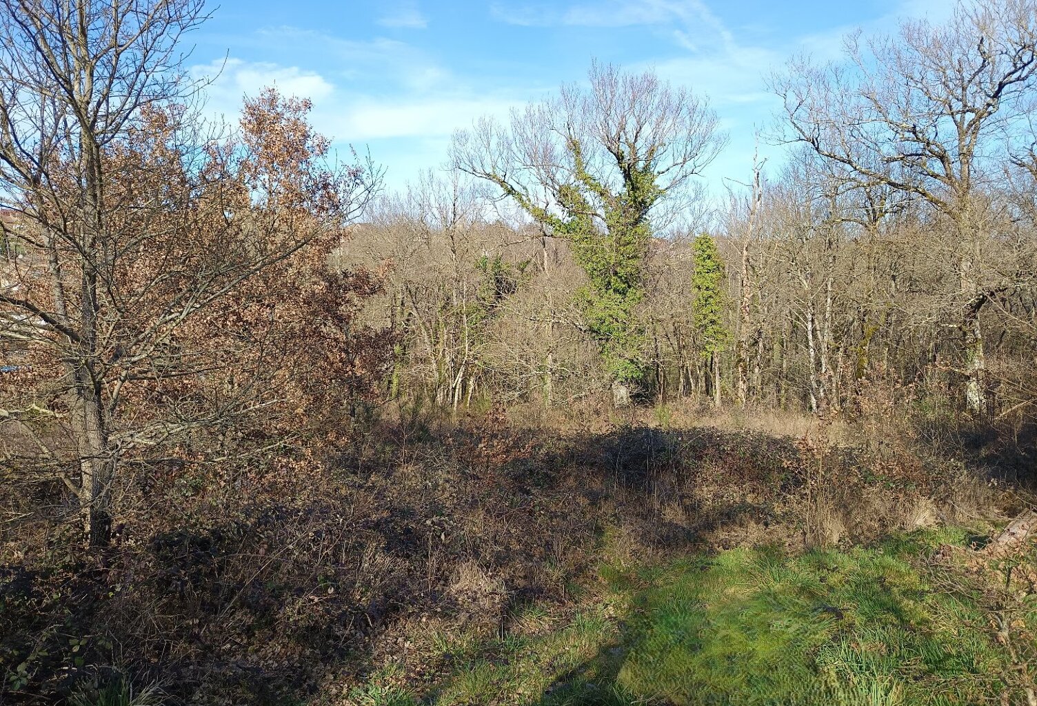 Terrain constructible — photo 1