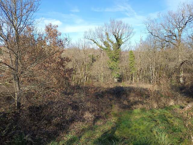 Terrain constructible — photo du bien