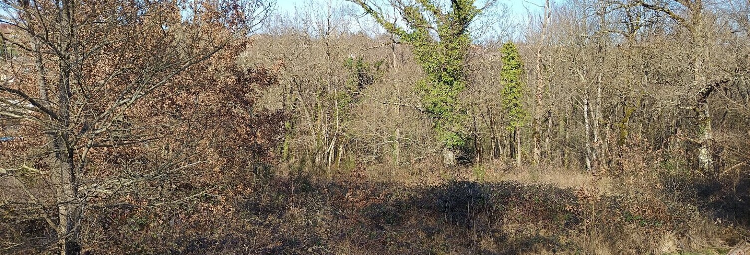 Terrain  4526 m² à vendre à Mirandol-Bourgnounac (81190)