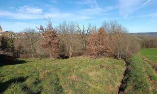 Terrain  4903 m² à vendre à Mirandol-Bourgnounac (81190)