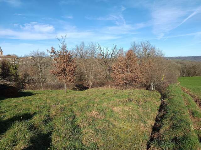 Terrain constructible — photo du bien