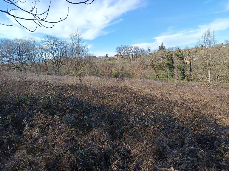 Terrain constructible — photo 1