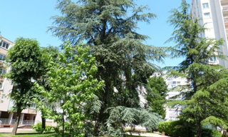 Appartement 4 Pièces 77 m² à vendre à Thiais (94320)