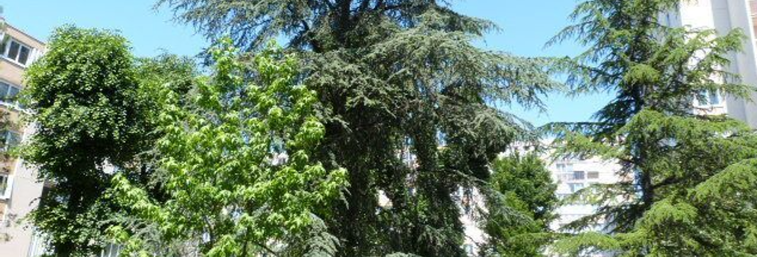 Appartement 4 Pièces 77 m² à vendre à Thiais (94320)