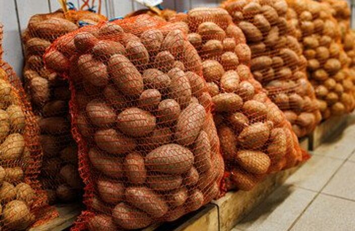 Agroalimentaire — photo 3