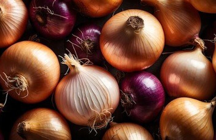 Agroalimentaire — photo 4