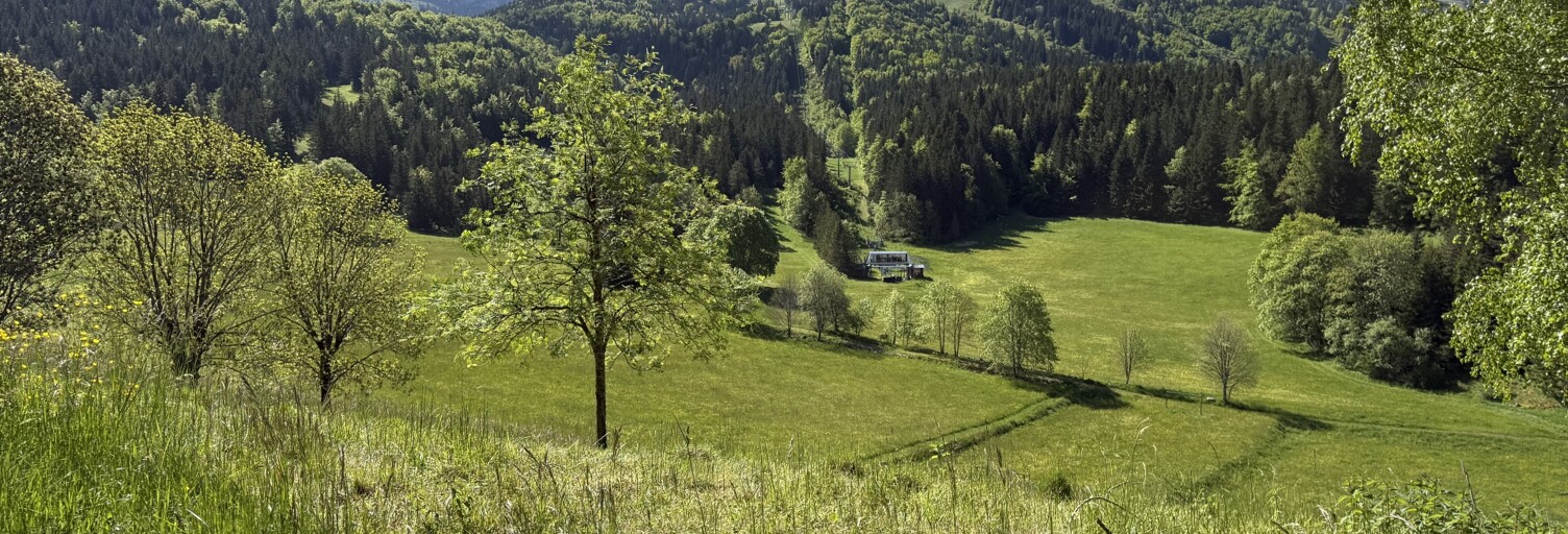 Appartement 1 Pièce 26 m² à vendre à Villard-de-Lans (38250)