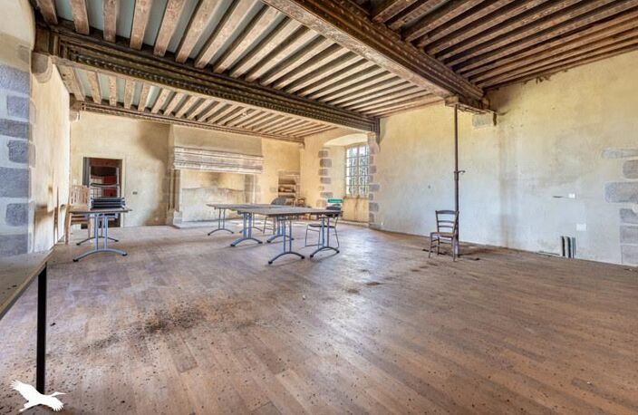 Château de 15 pièces principales — photo 4