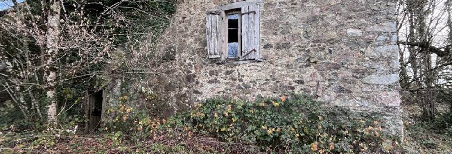 Maison 2 Pièces 62 m² à vendre à Naves (19460)
