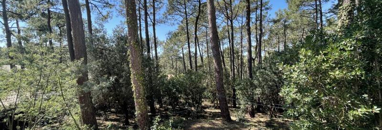 Maison 6 Pièces 121 m² à vendre à Le Cap-Ferret (33970)