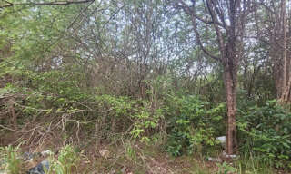 Terrain  4936 m² à vendre à Sainte-Anne (97180)