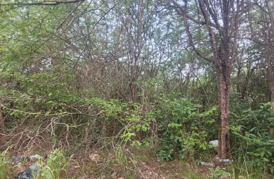 Terrain de 4936 M2 avec la moitié constructible — photo du bien