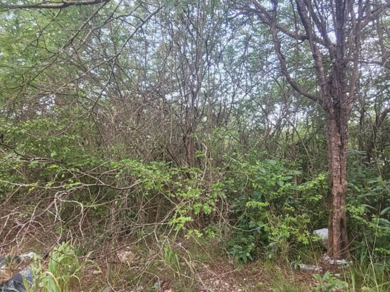 Terrain de 4936 M2 avec la moitié constructible — photo 1