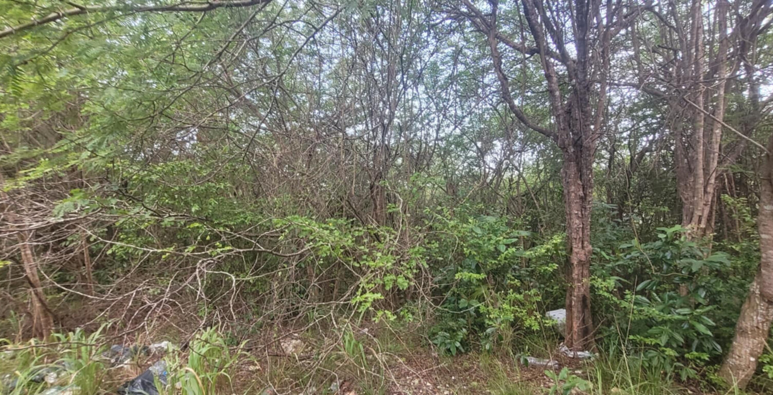 Terrain de 4936 M2 avec la moitié constructible — photo 1