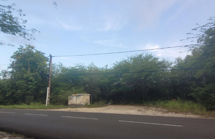 Terrain de 4936 M2 avec la moitié constructible — photo 3