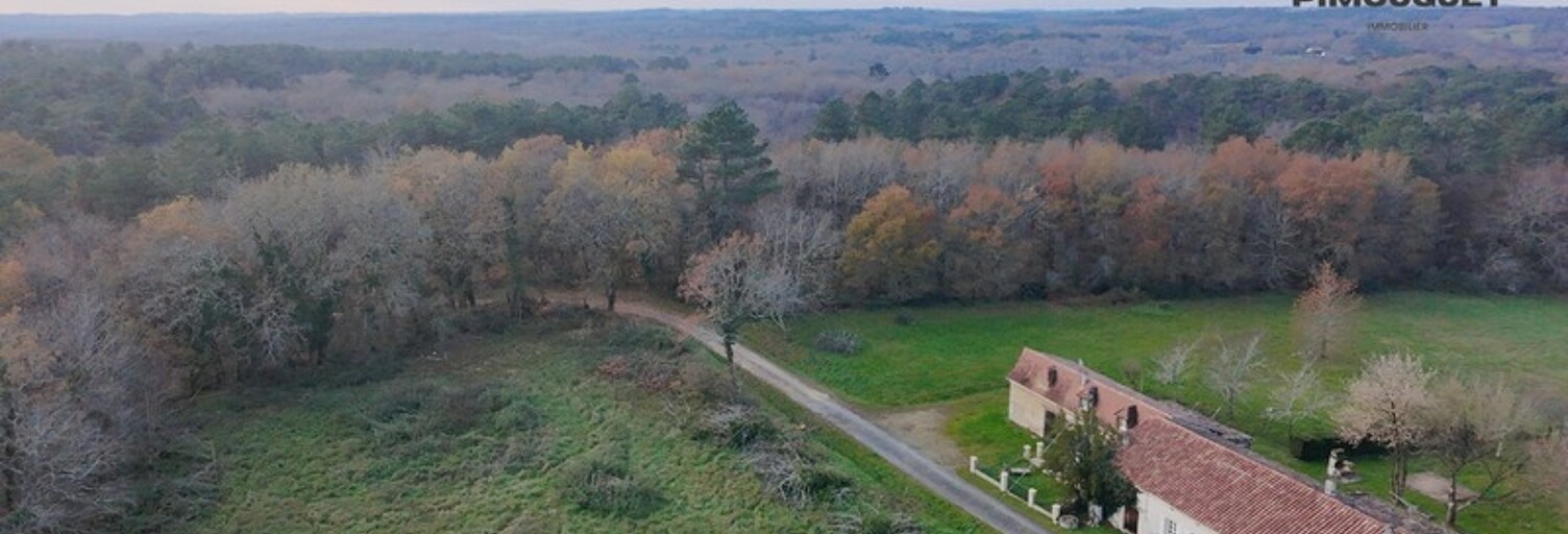 Maison 10 Pièces 251 m² à vendre à Montazeau (24230)