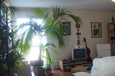 Appartement 1 pièces 400 €