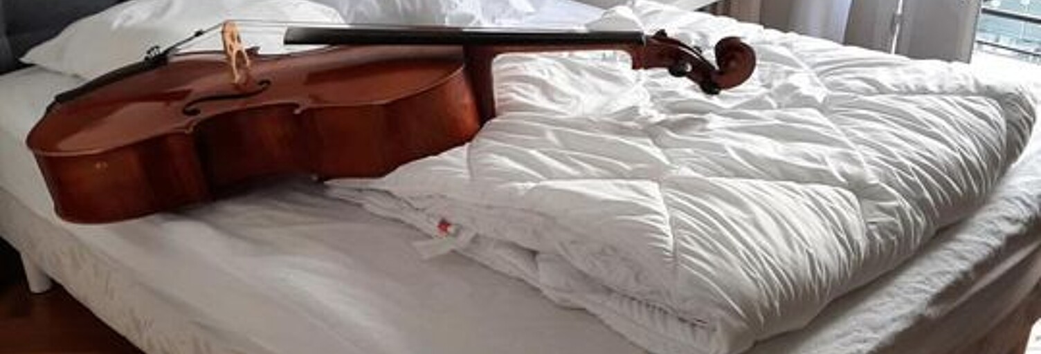 Appartement 1 Pièce 14 m² à louer à Nice (06000)