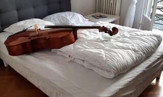 Appartement 1 Pièce 14 m² à louer à Nice (06000)