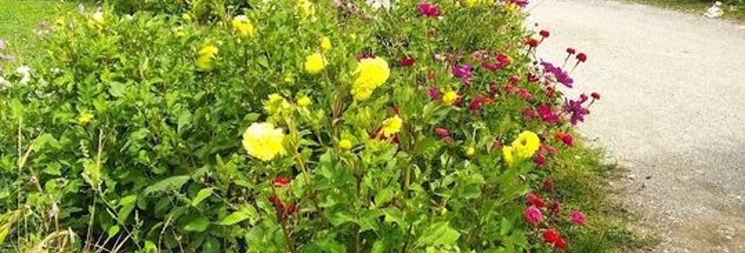 Appartement 1 Pièce 12 m² à louer à Bésayes (26300)