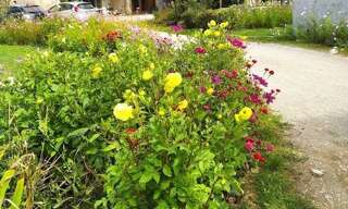 Appartement 1 Pièce 12 m² à louer à Bésayes (26300)