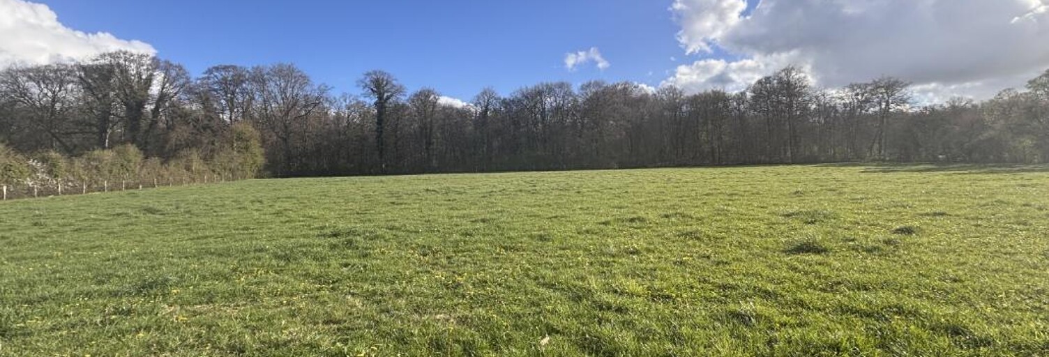 Terrain   m² à vendre à Argentan (61200)