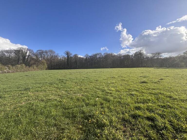 Terrain — photo 1