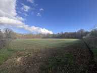 ARGENTAN — photo 2