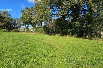Terrain  36990 €