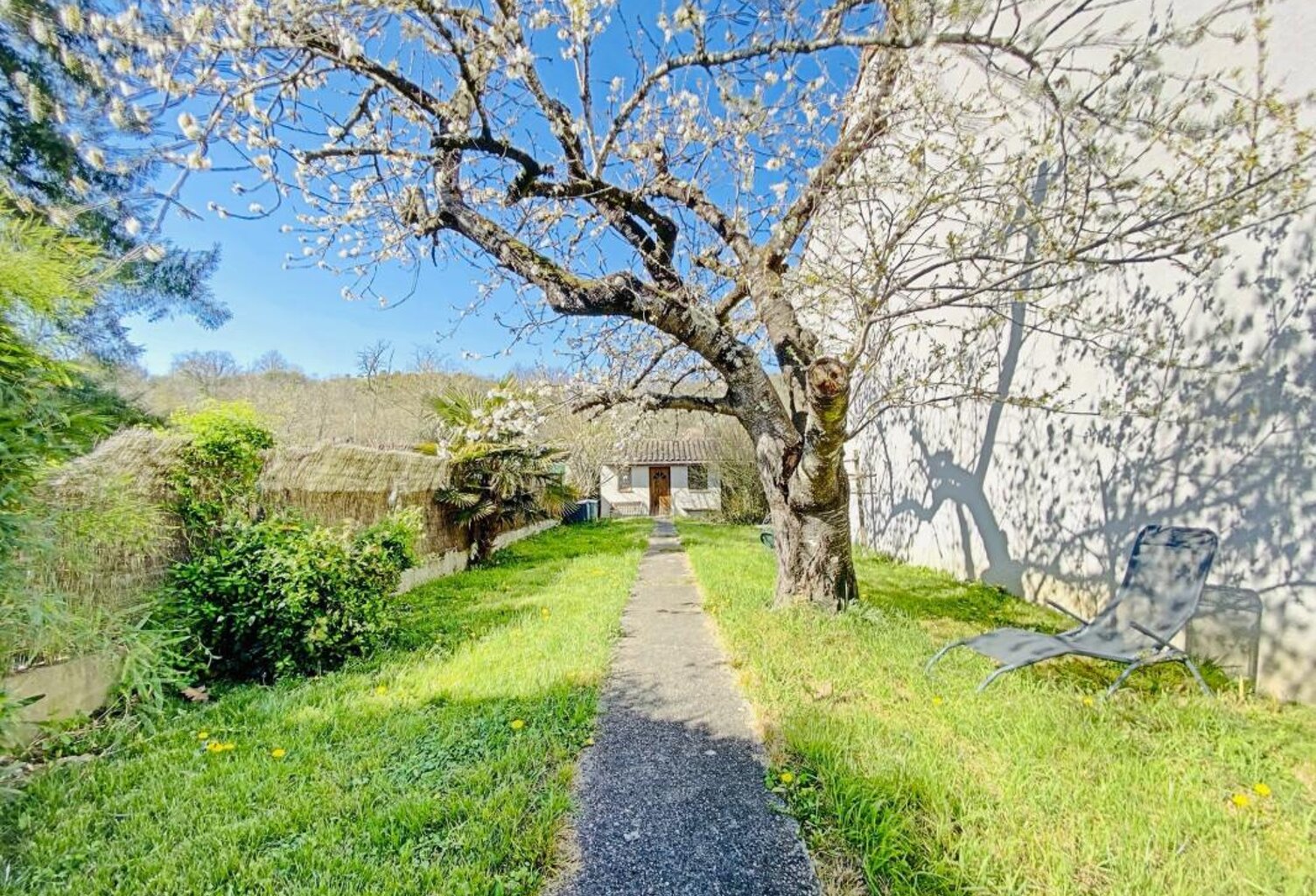 Maison de village à Venerque – Espace, charme et sérénité — photo 1