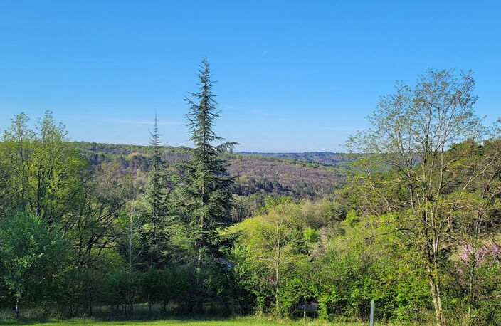 UN LIEU DE VIE SINGULIER, ENTRE NATURE, ACCUEIL ET ART DE VIVRE! Secteur PLAZAC. SAINT-LEON/VEZERE — photo 2