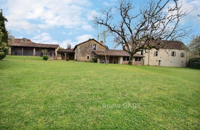 Demeure de prestige Savignac Les Eglises 320 m2 — photo 3